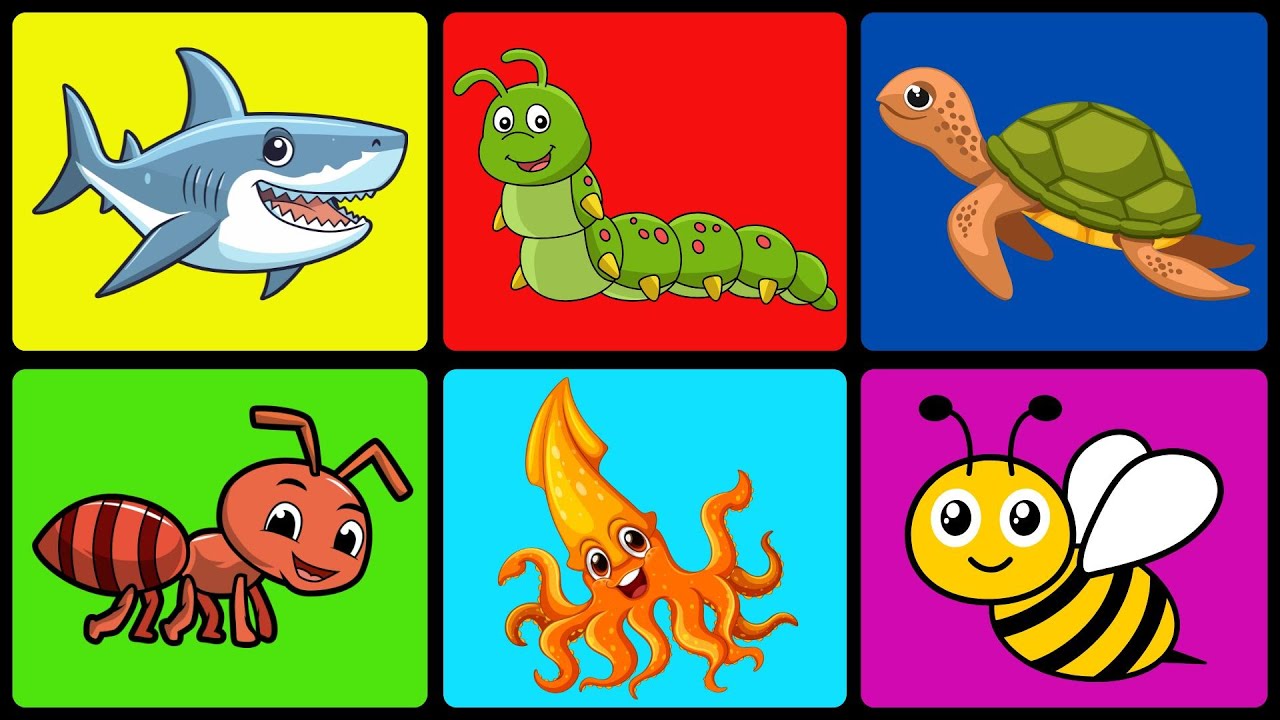 🦀🐝 ¡Animales Marinos e Insectos Increíbles! Aprende y Diviértete con Gael y Owen 🌊🦋