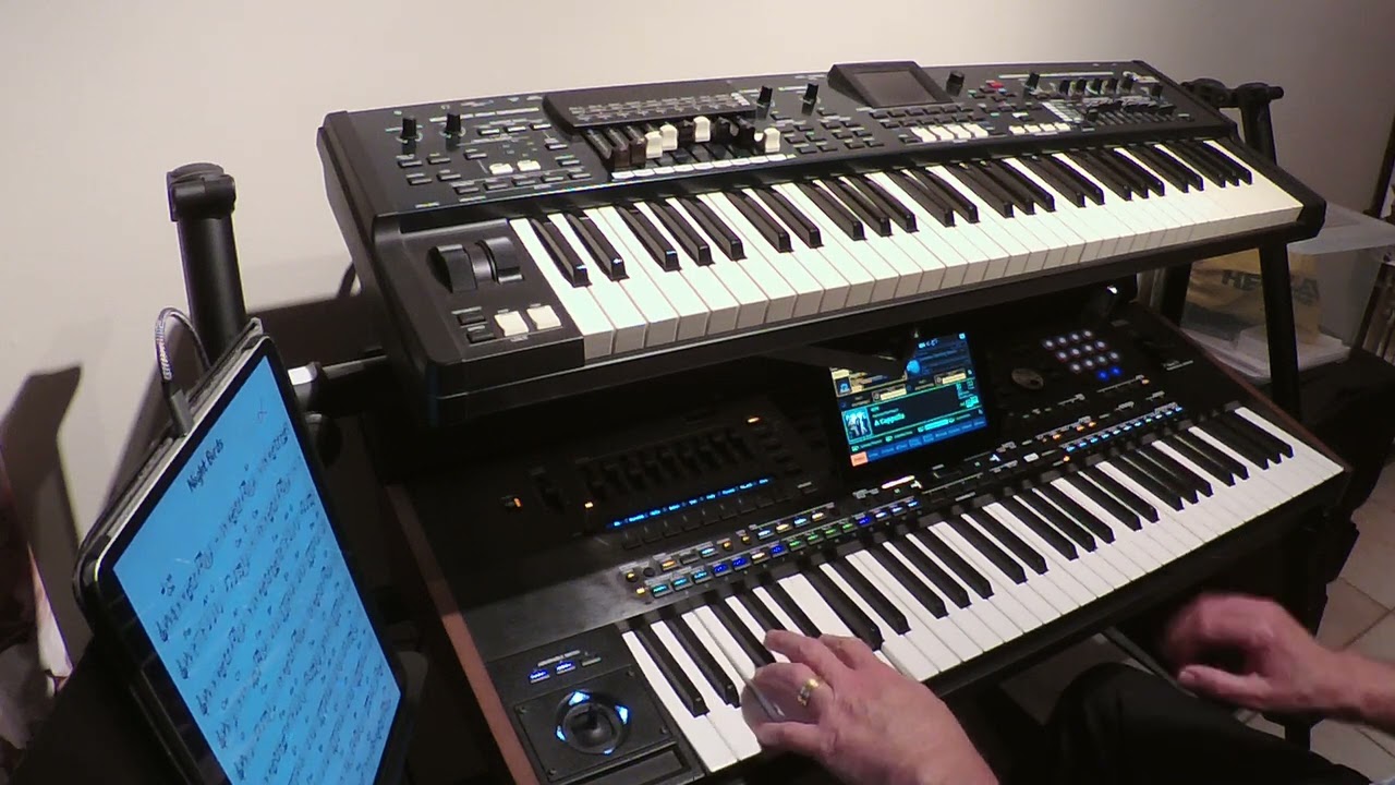 Night Birds : Korg Pa5X cover