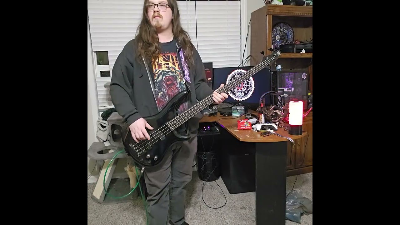 For My Sake - Shinedown bass cover