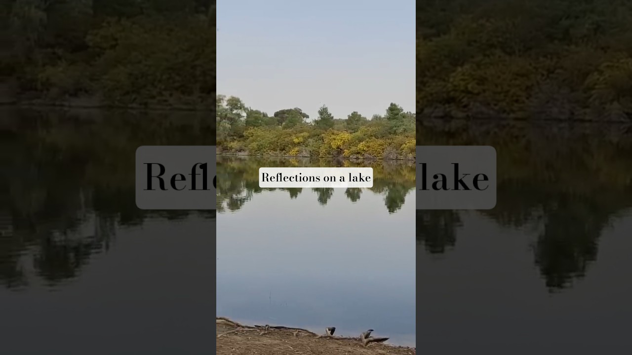 Reflections on a lake! #nature #lake #reflections
