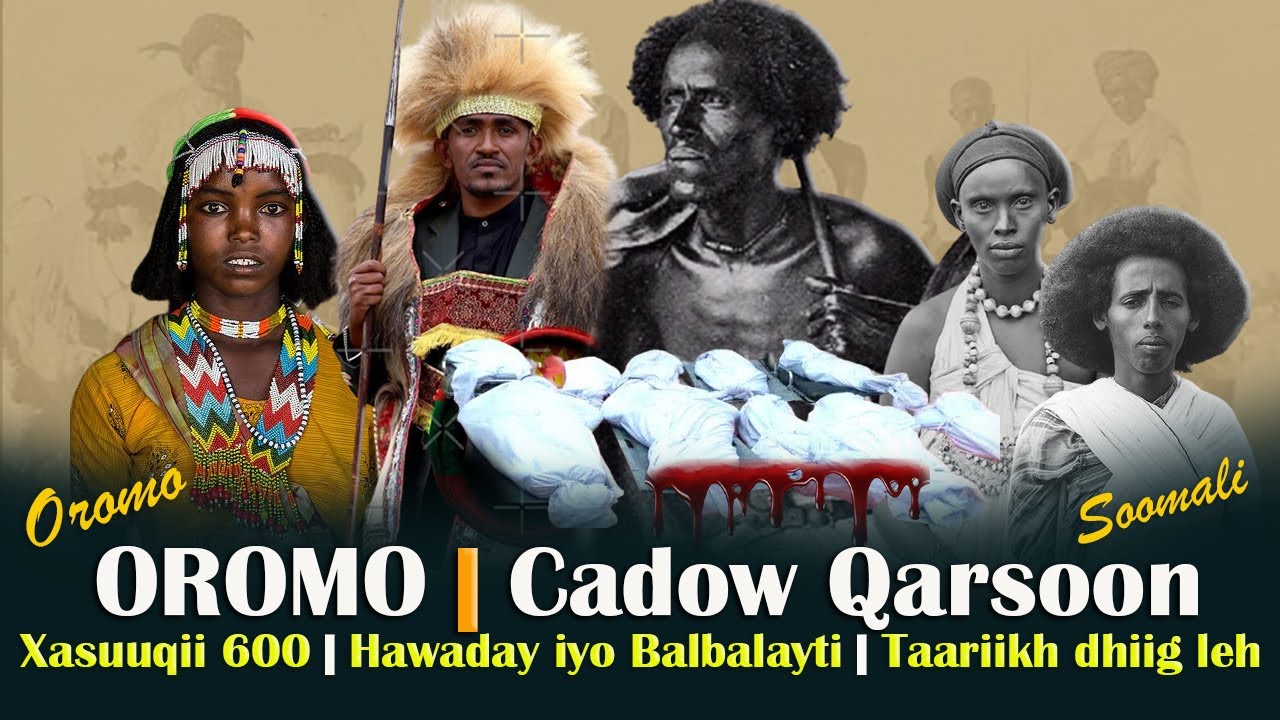 Garaad Wiilwaal Oo Dilay Boqorkii Oromada Gaal Gurey | Duullaankii Jigjiga Iyo Jabkii Oromo