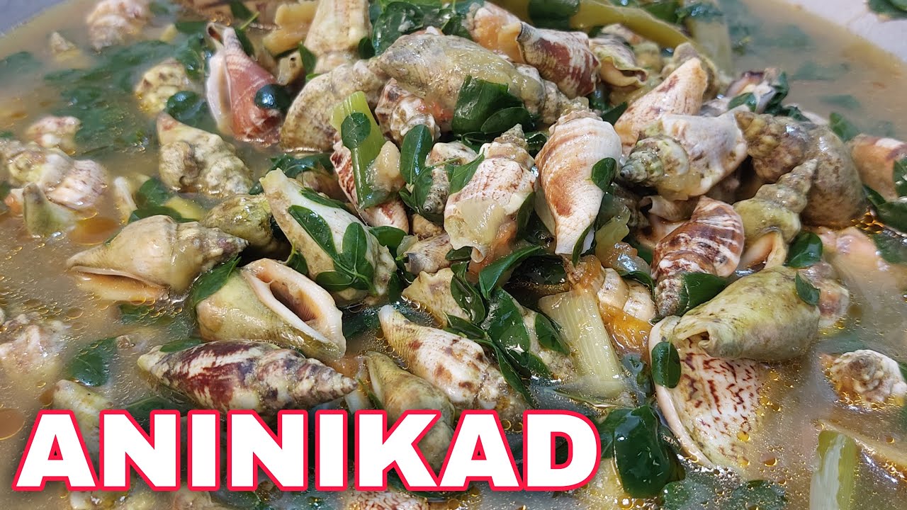 HOW TO COOK ANINIKAD | KINHASON SHELL RECIPE | SINABAWANG ANINIKAD WITH MALUNGGAY | Tambayan Cooking