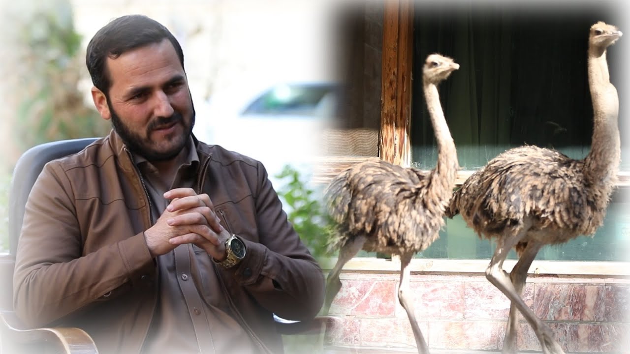 ما چگونه رفتار با حیوانات داشته باشیم / استاد عبدالصمد قاضی زاده / Ustad Abdul Samad Qazi Zada