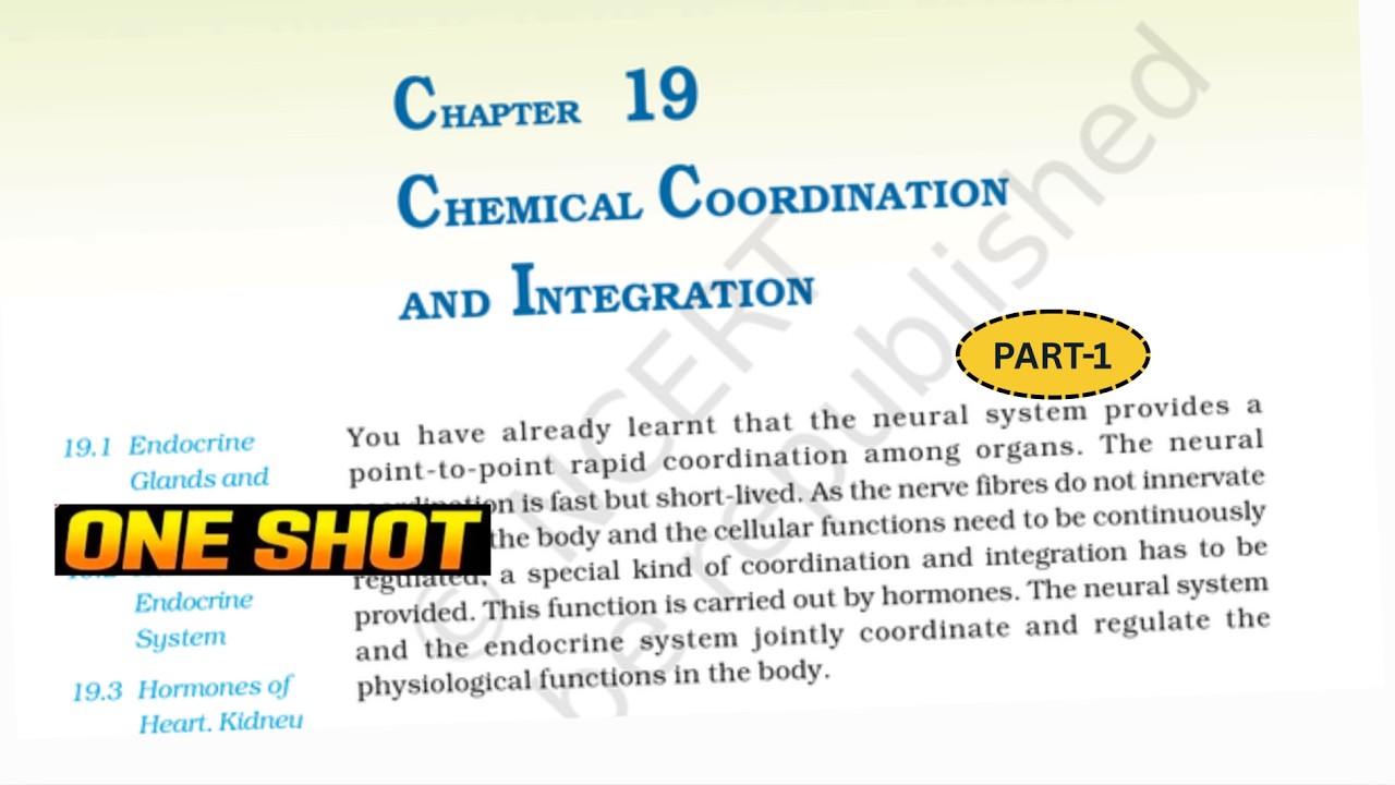Chemical control and coordination class 11 quick revision | Chemical coordination and integration