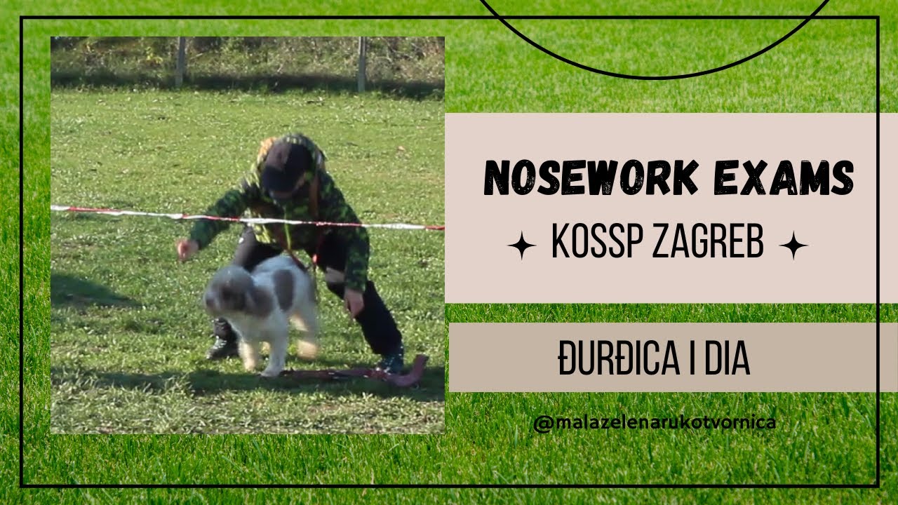 Nosework Challenge – KOSSP Zagreb