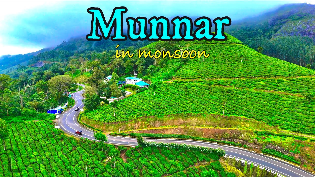 EP2: RoadTrip 2025 | Munnar Gap Road | Camelot Resort Munnar | 1.5 Lakh Gold Tea/KG | Roving Couple