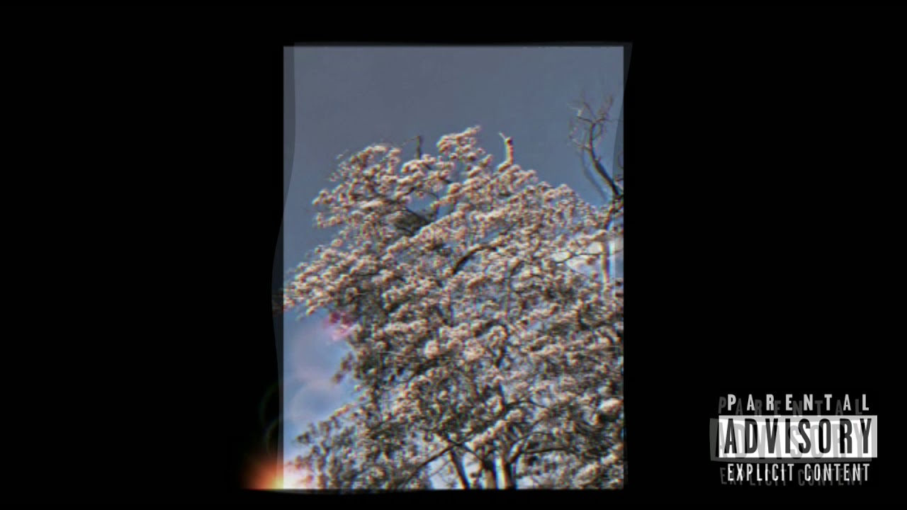 ToniVM-Rosas(Feat.NiaZH)