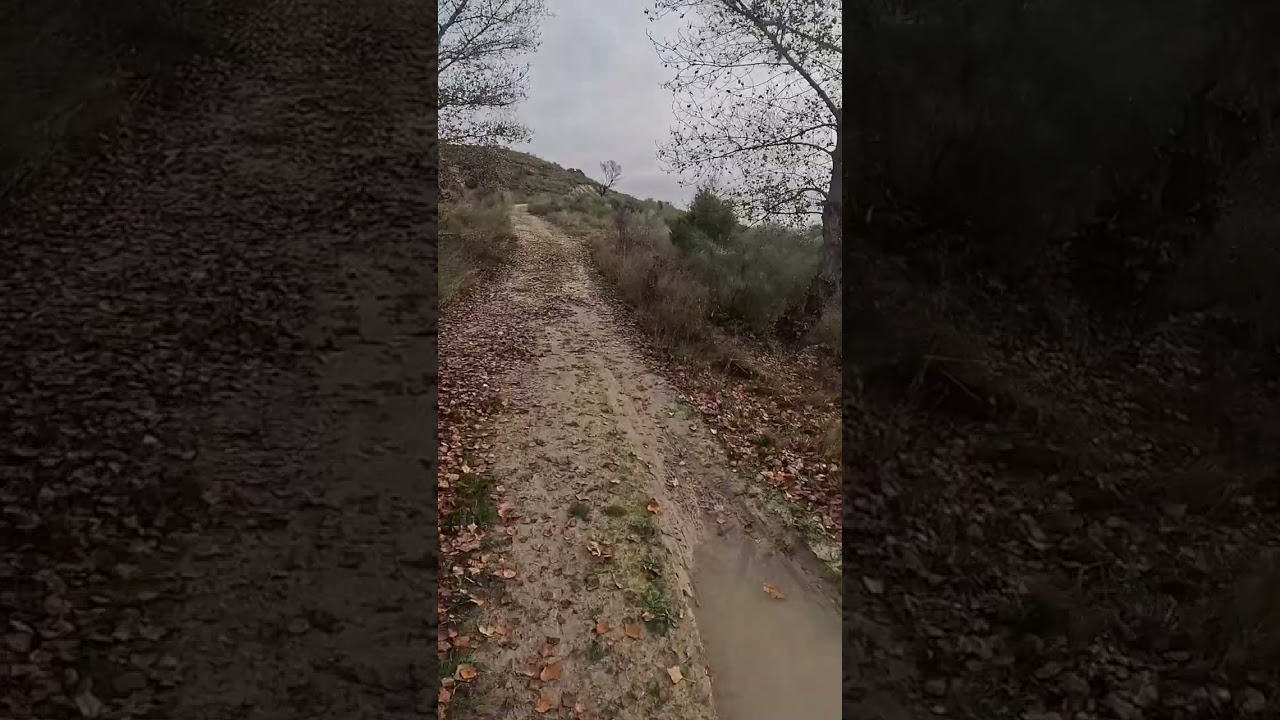 Camino del cementerio de Torrelaguna 