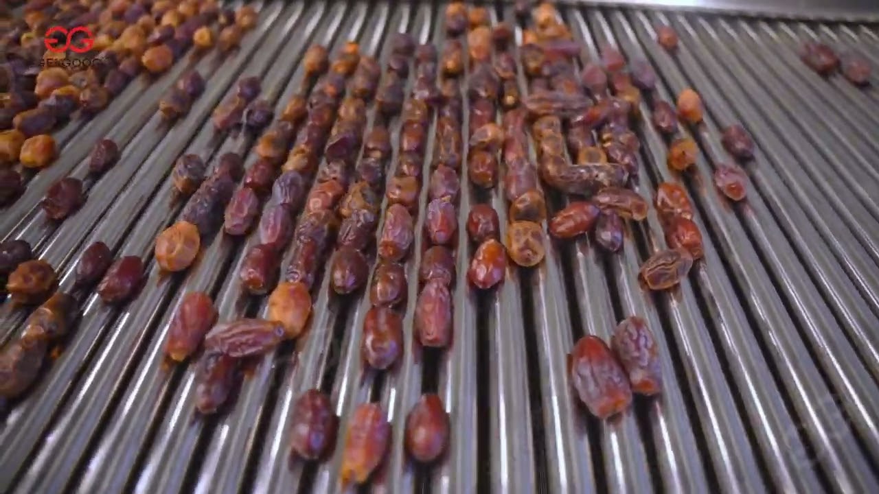 Dates Washing And Sorting Processing Line