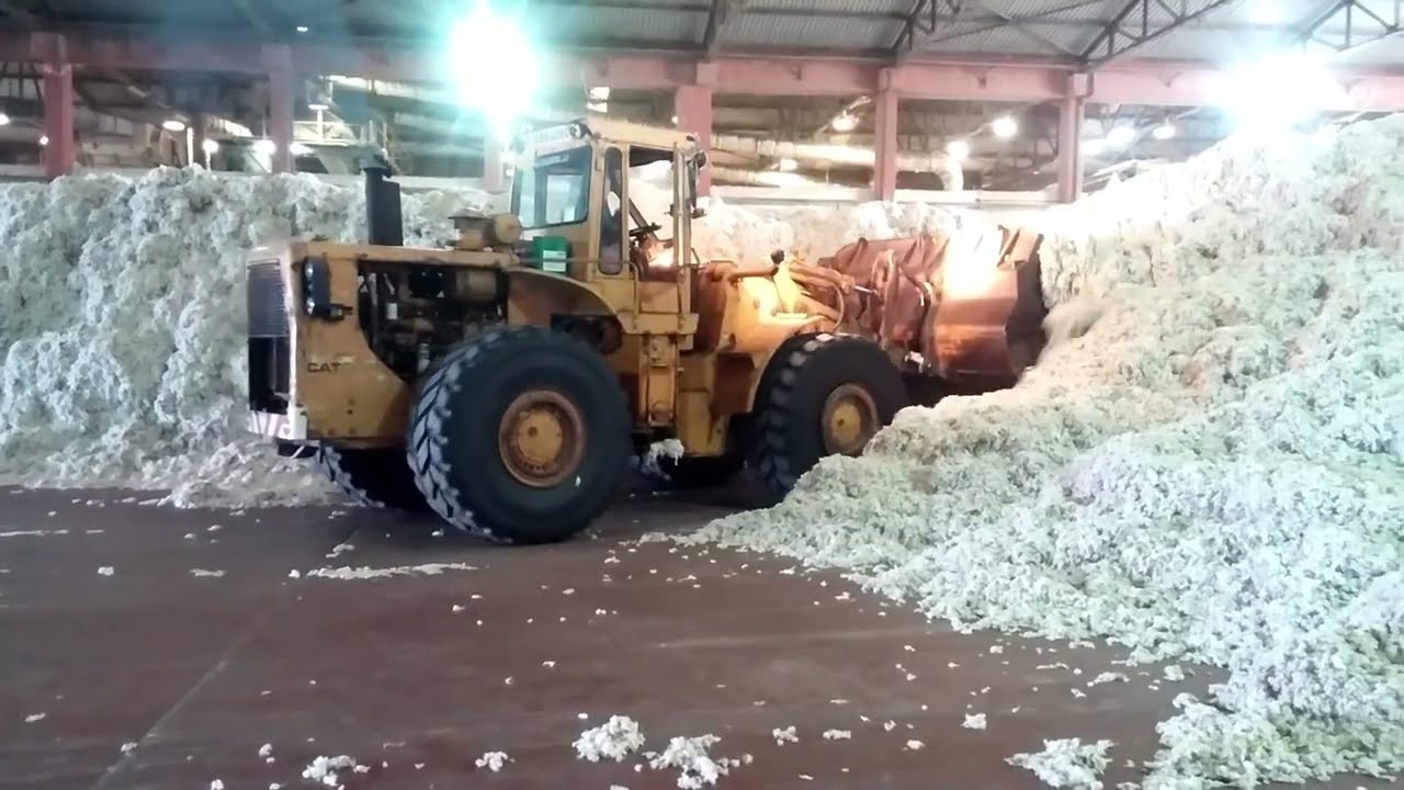 Βαμβάκι: επεξεργασία στο Εκκοκκιστήριο