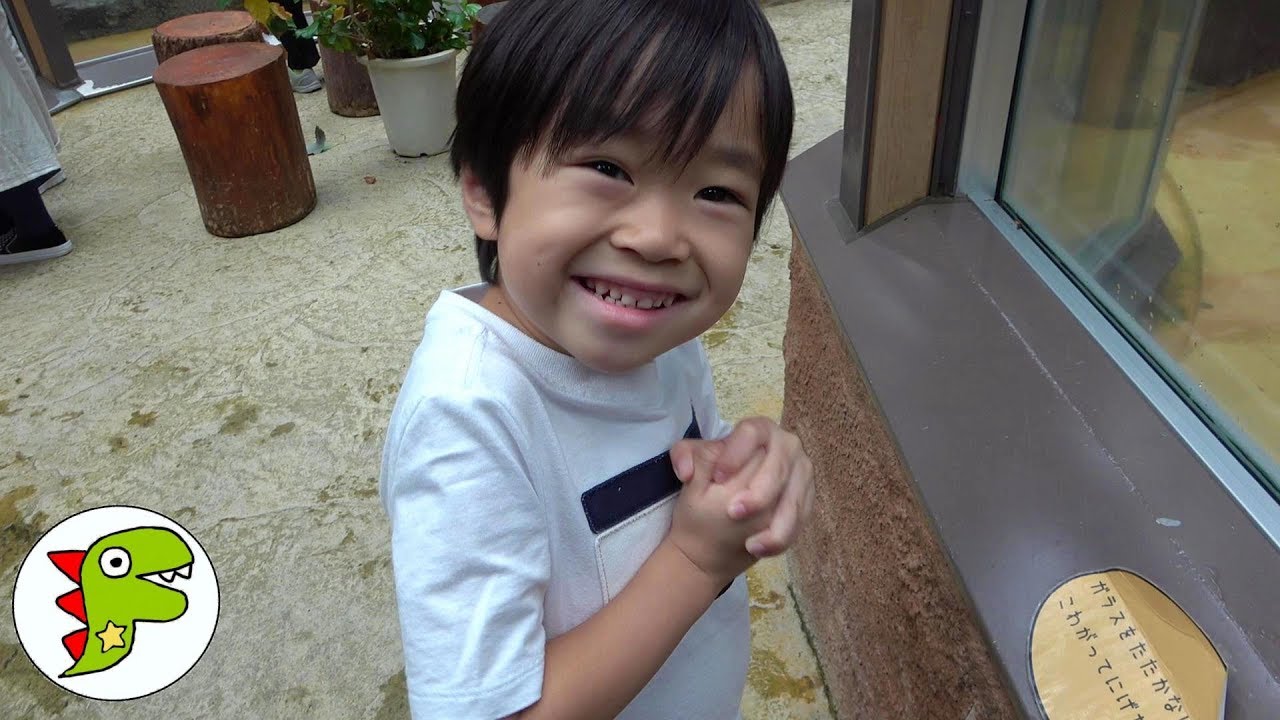 おでかけ 北海道 円山動物園へあそびにいったよ！たくさんのどうぶつさんをみてみよう！ トイキッズ