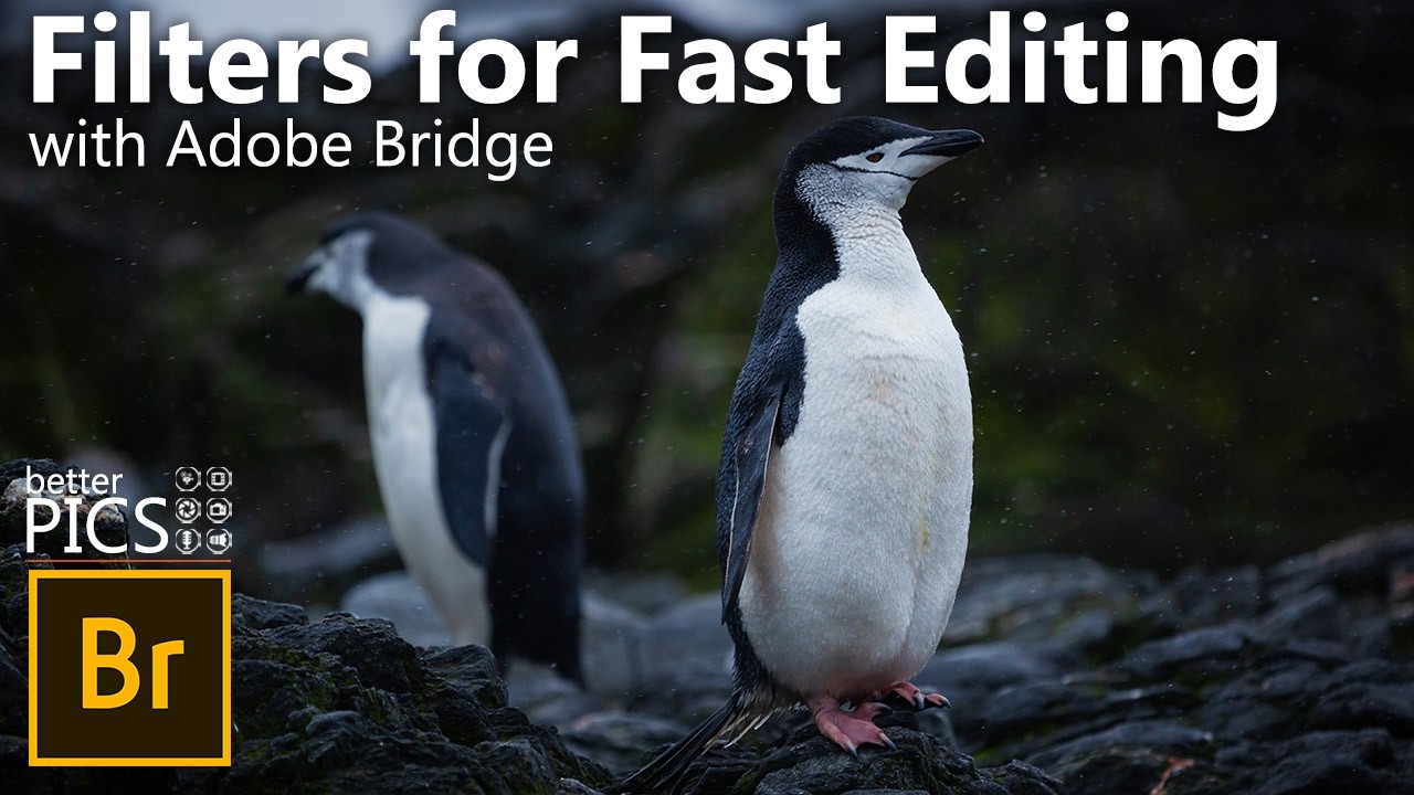 Filters in Adobe Bridge for Faster Editing | #Filters #AdobeBridge #EditWorkflow #ImageSorting