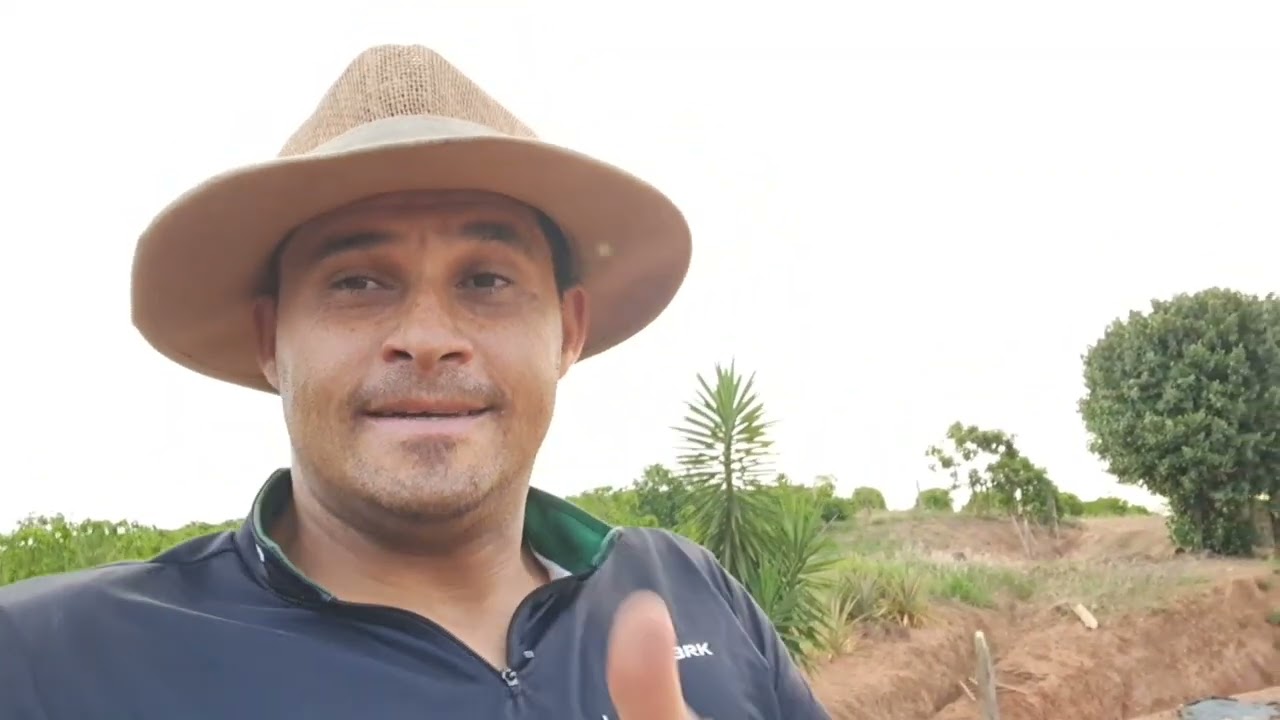Valmet 62 na ladeira será que dá para trabalhar 🚜 Vídeo gravado em novembro de 2025