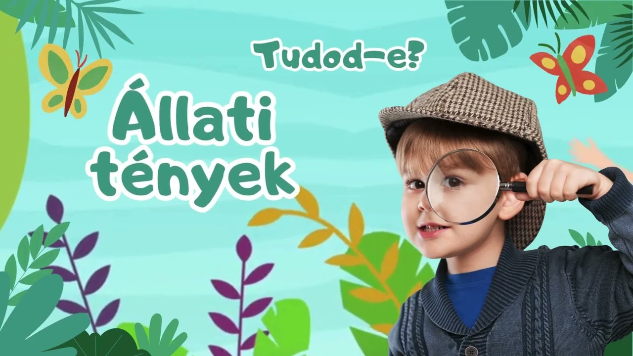 Mesebolyg&oacute; Zoo 1. ad&aacute;s