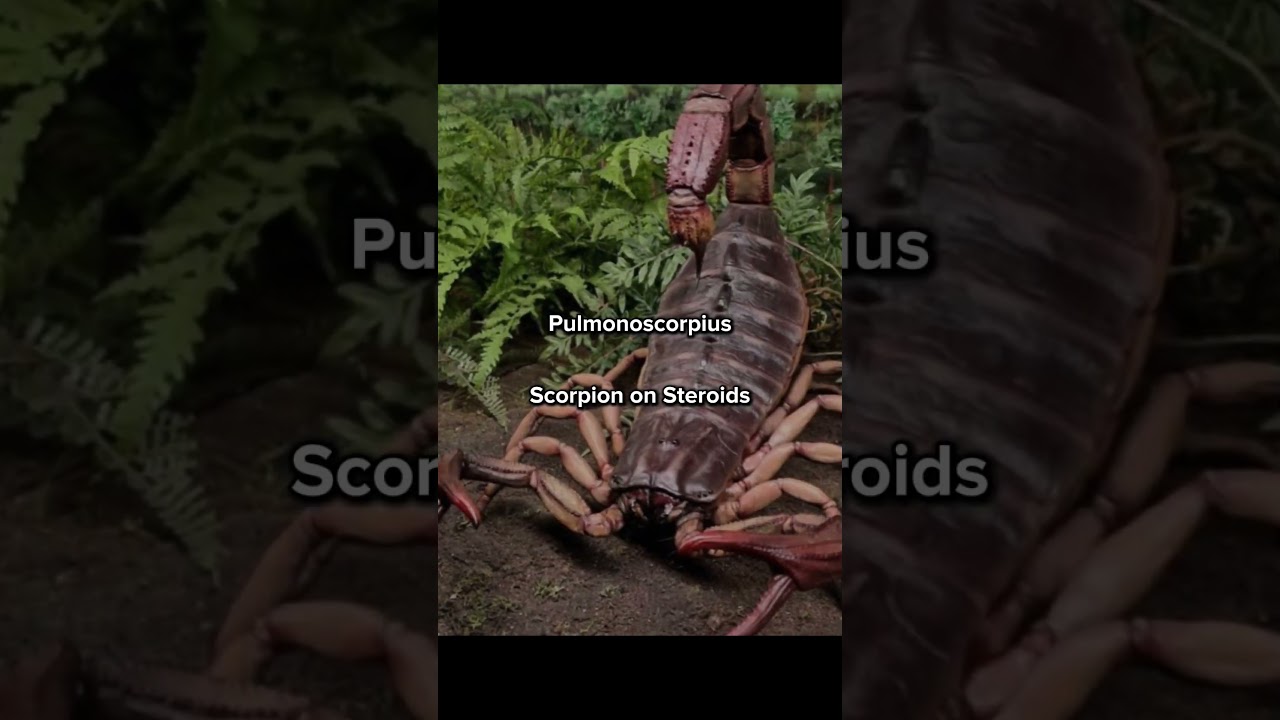 Scary Prehistoric Animals 💀