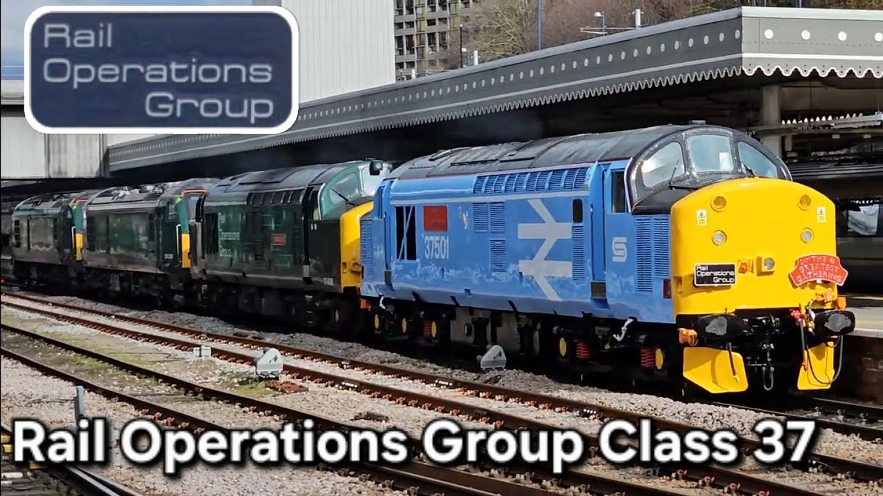 Rail Operations Group Class 37 