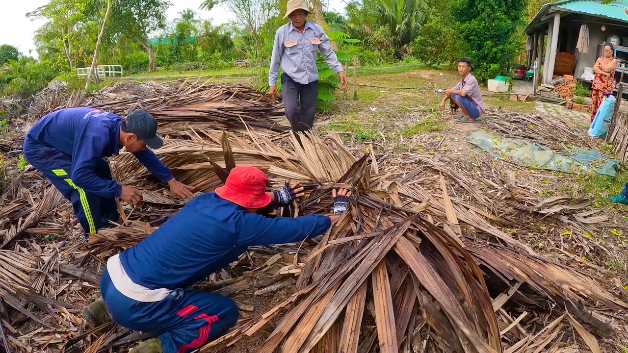 Giúp Anh 4 dỡ đóng lá xé trước nhà vì thấy có da rắn lột rất lớn | TGSB #505