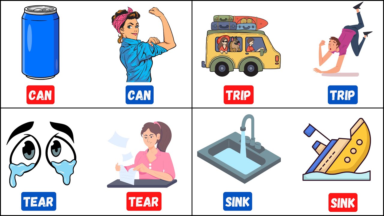 Homonyms in English: Boost Your Vocabulary with Simple Examples