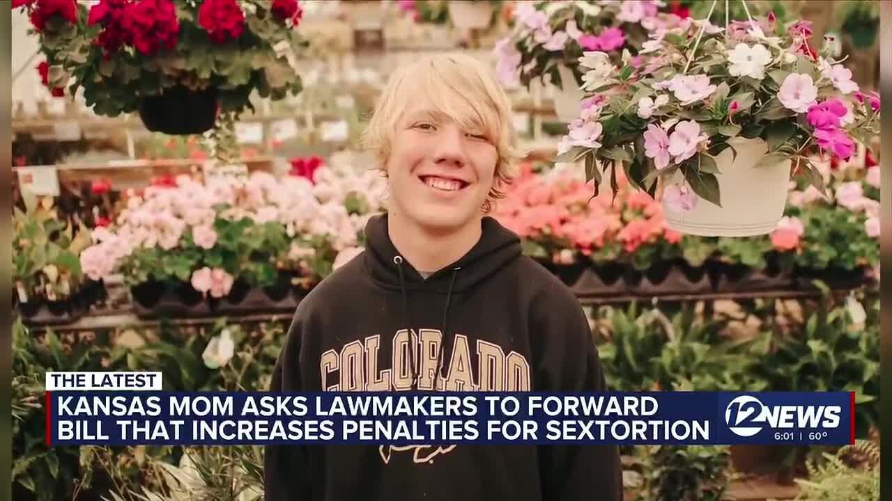 Жительница Канзаса просит законодателей продвинуть законопроект, ужесточающий наказания за шантаж...