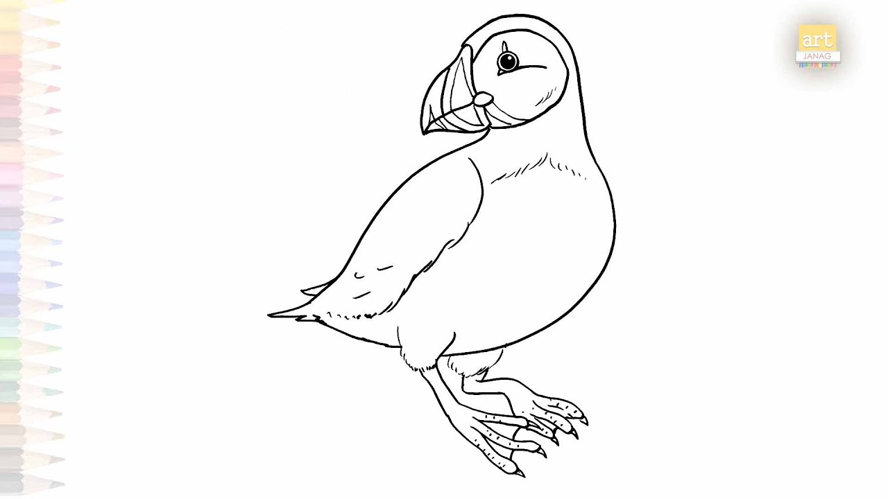 Puffin easy drawing | birds drawing tutorial | How to draw A Puffin step by step simply #artjanag