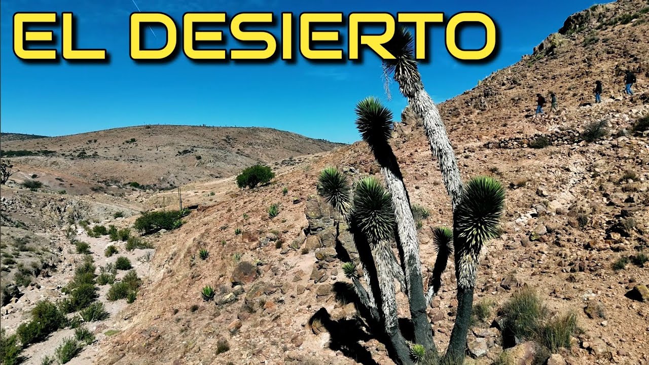 Dron Desierto San Luis Potosi 