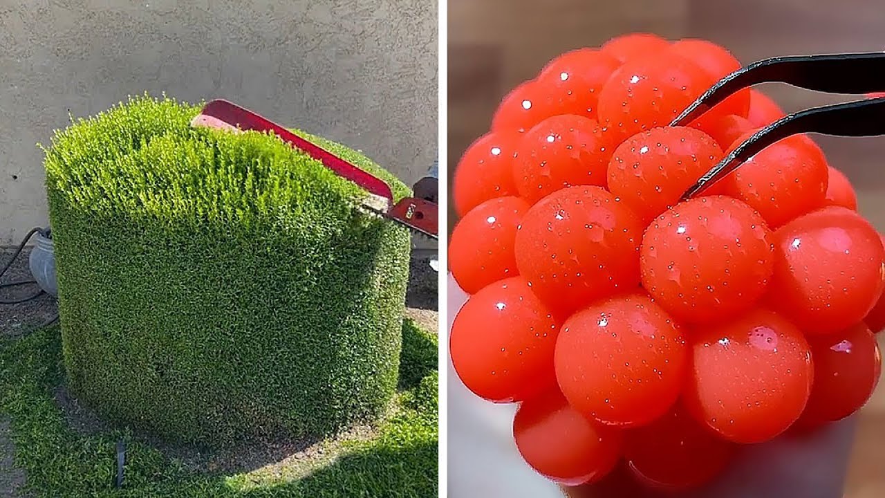 51 SATISFYING Moments of Workers Mastering Their Craft