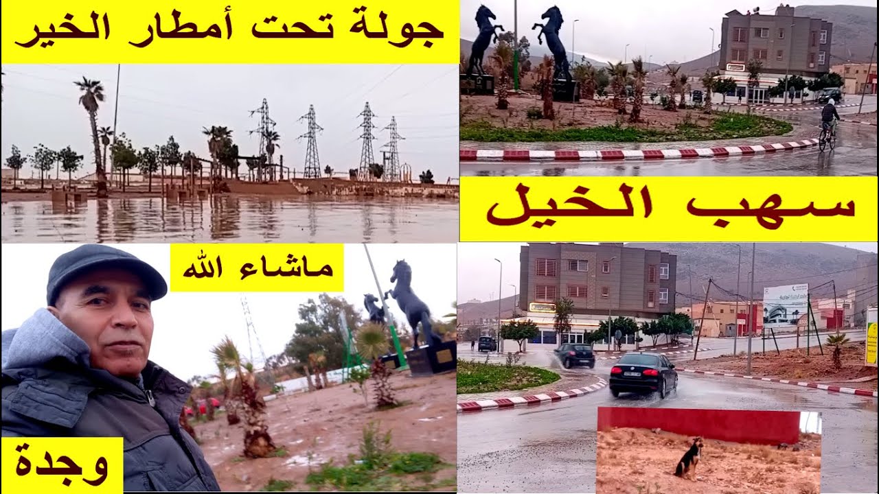 أمطار خيرات ربي تبارك الله جولة بسهب الخيل وجدة