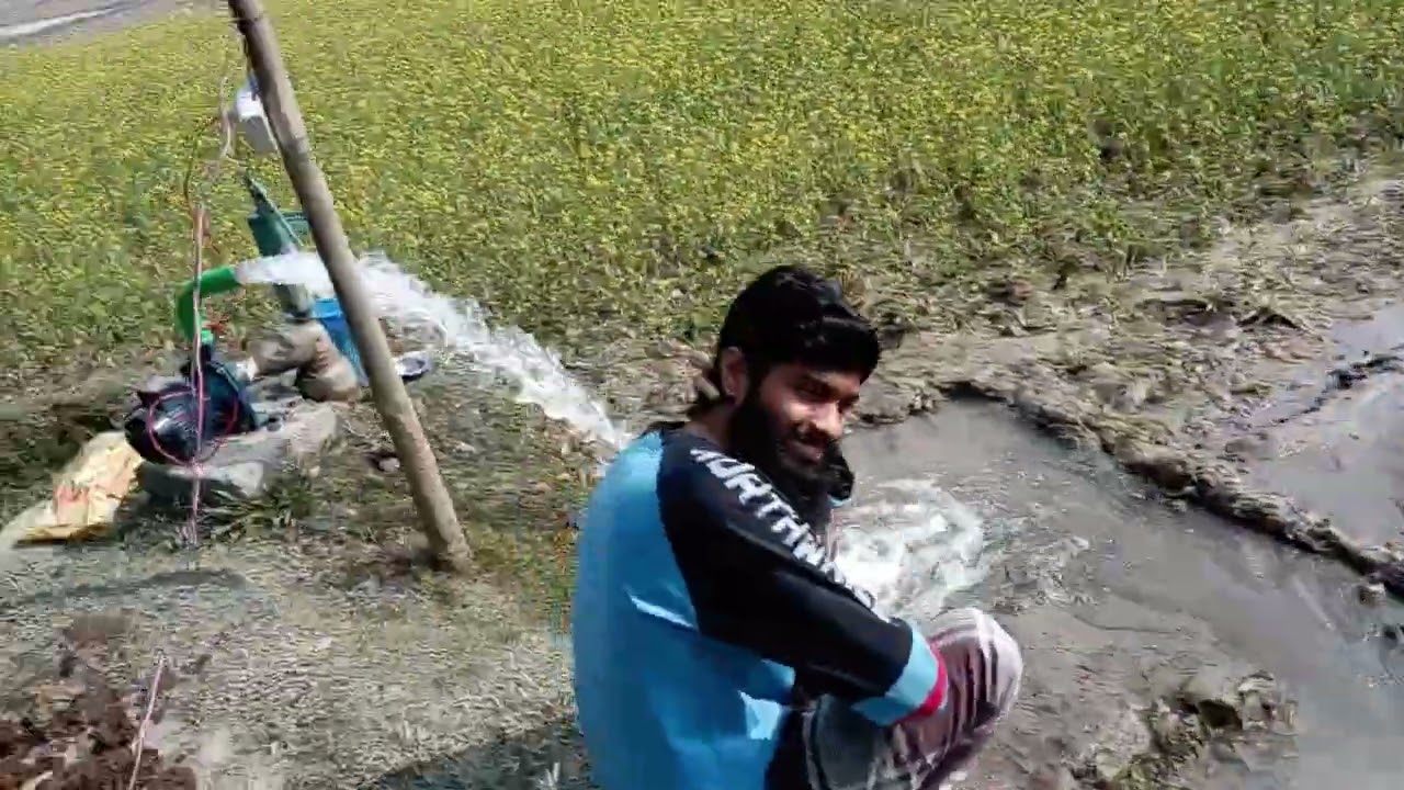 ধানের বীজতলায় মটর দিয়ে সেচ প্রদান।