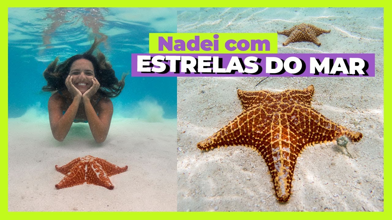SAN BLAS: bate e volta VALE A PENA? | Prefiro Viajar
