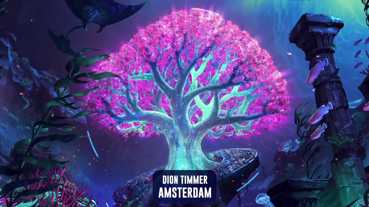 Dion Timmer - Amsterdam | Subsidia