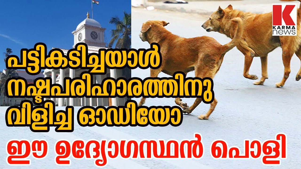 പട്ടികടിച്ചാൽ 1ലക്ഷം നഷ്ടപരിഹാരമോ? വകുപ്പ് മേധാവിയുടെ ഓഡിയോ