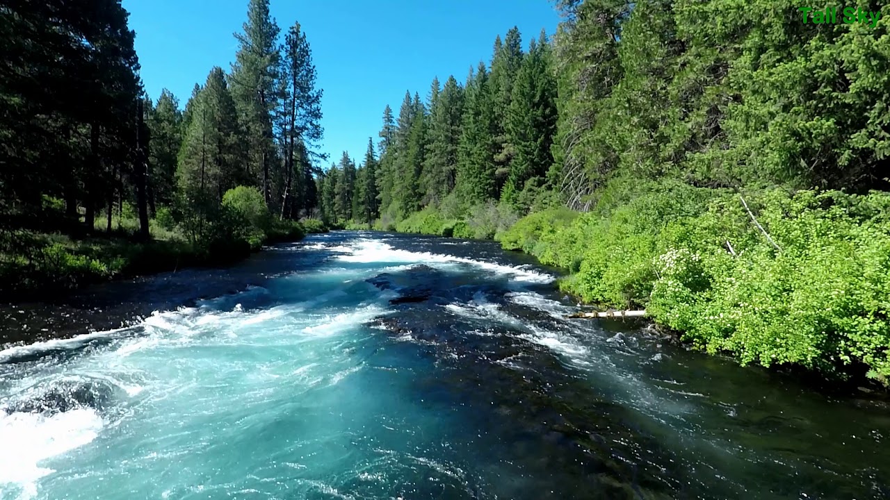 Riverside Walk: 3 Miles in Ponderosa Pine Forest, 4k, (actual sound)