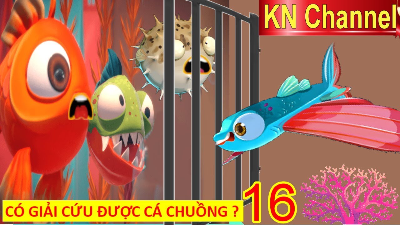 THỬ THÁCH LÀM CÁ 7 NGÀY  TẬP 16 GIẢI CỨU CÁ CHUỒN CÓ THÀNH CÔNG ?