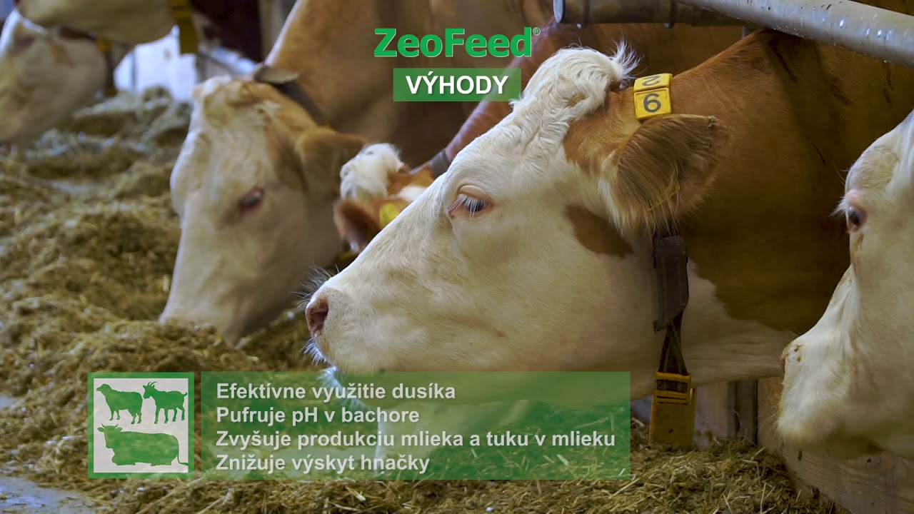 SK - ZeoFeed 2020 II