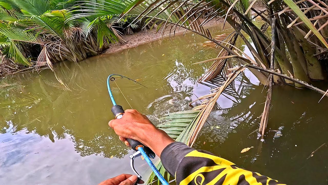 Benar2 Rejeki Hari Ini, Mancing Dapat Banyak Kakap Putih