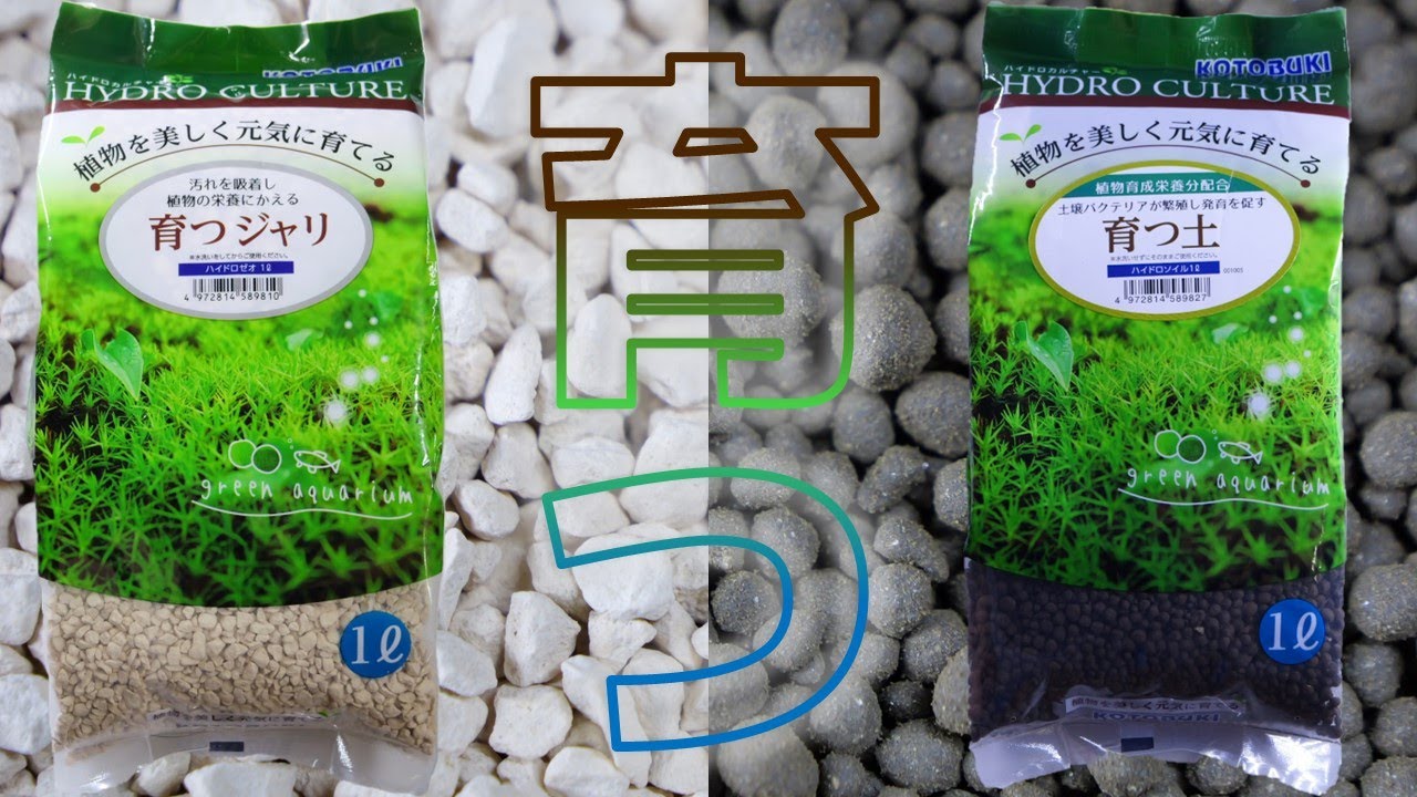 【ソイル】阿蘇の天然土は凄かったのに・・・期待するとこうなる。コトブキ 育つジャリ/育つ土【ふぶきテトラ】