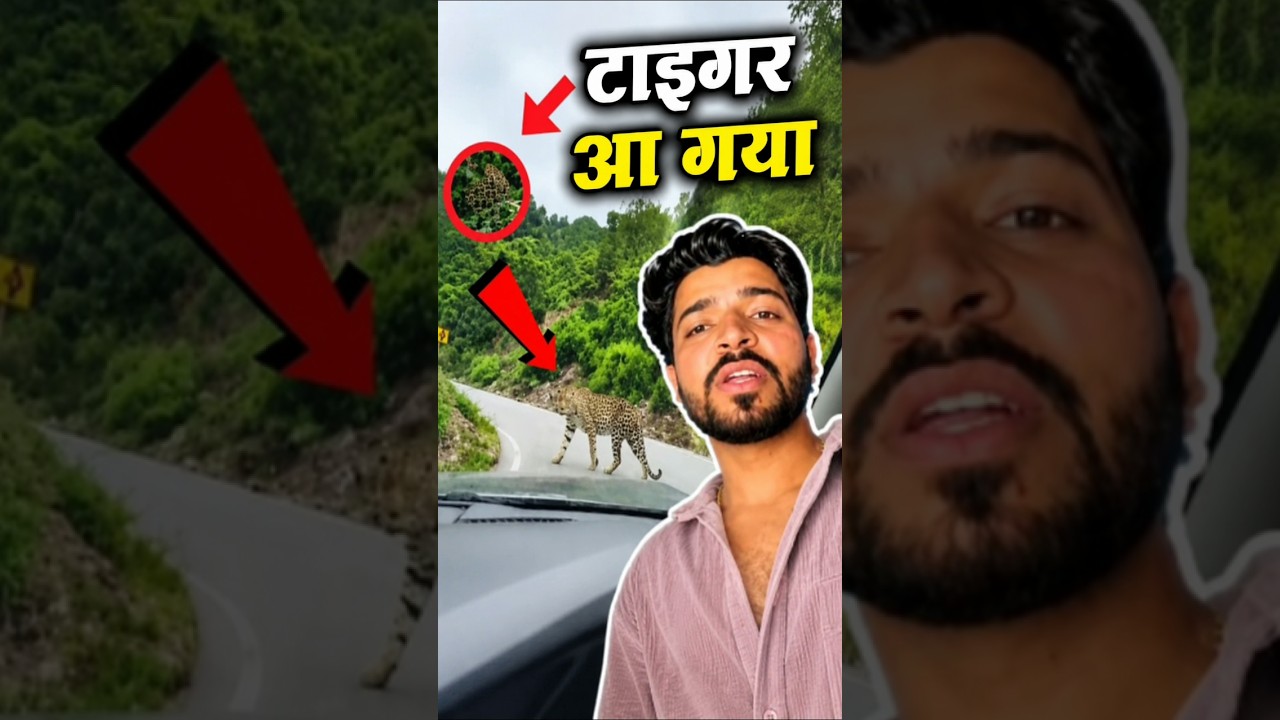 Leopard a Gaya 😱 || Albadi Vlogs