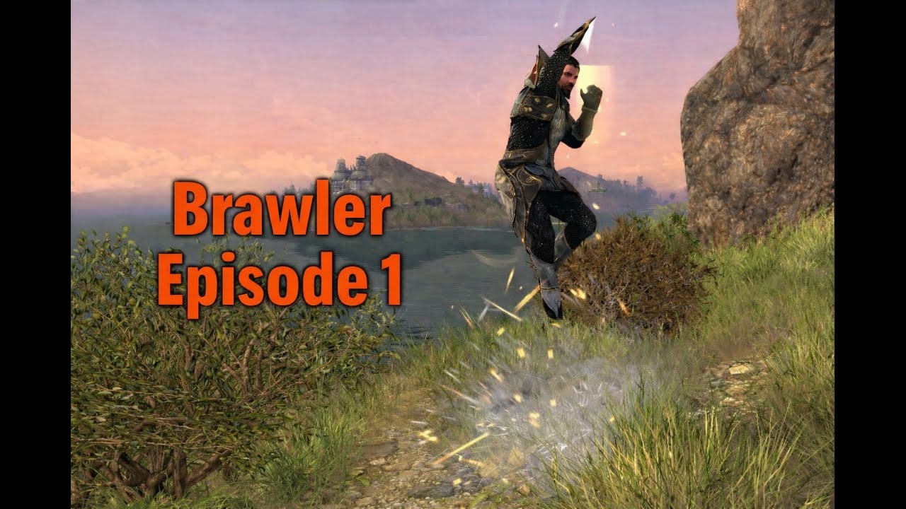 Lord of the Rings Online - Brawler Playthrough Episode 1