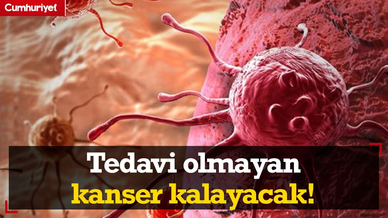 Prof. Dr. Derya Unutmaz açıkladı: 