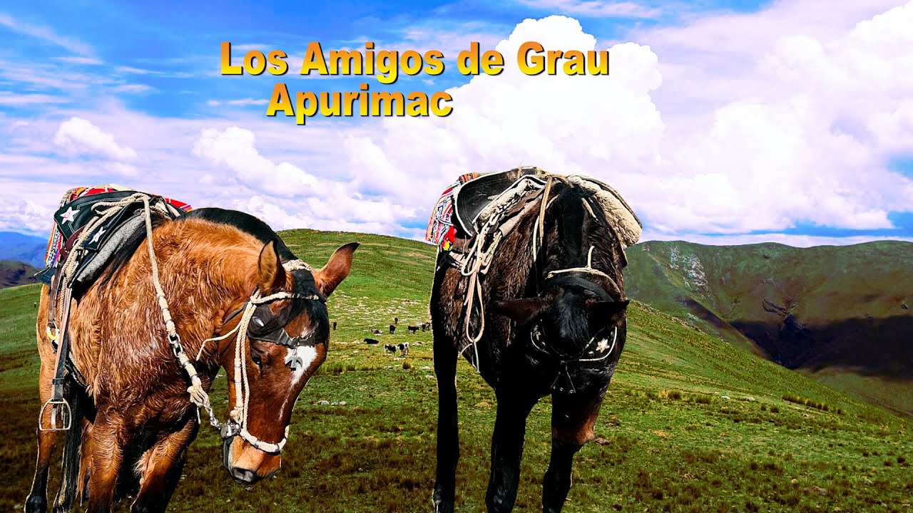 LOS AMIGOS DE GRAU - TEMA:  CABALLITO  BAYO ( Autor )  D.R. CEL - 963 896 755 - 980 454 404