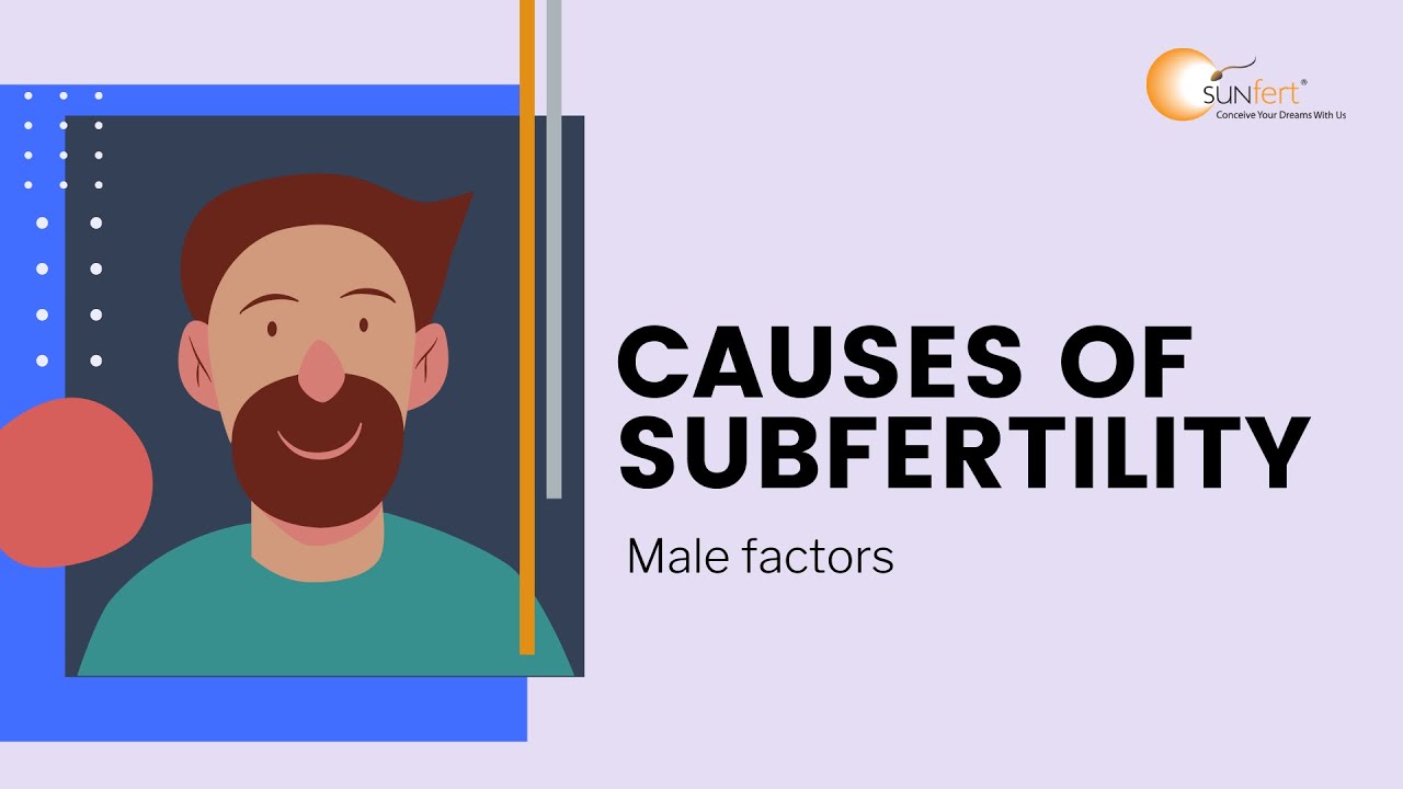 Male Subfertility Factors