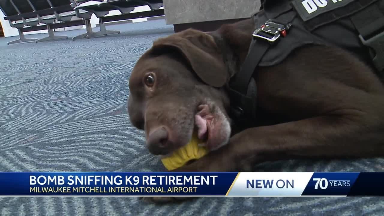Milwaukee's first TSA bomb-sniffing K9 retires