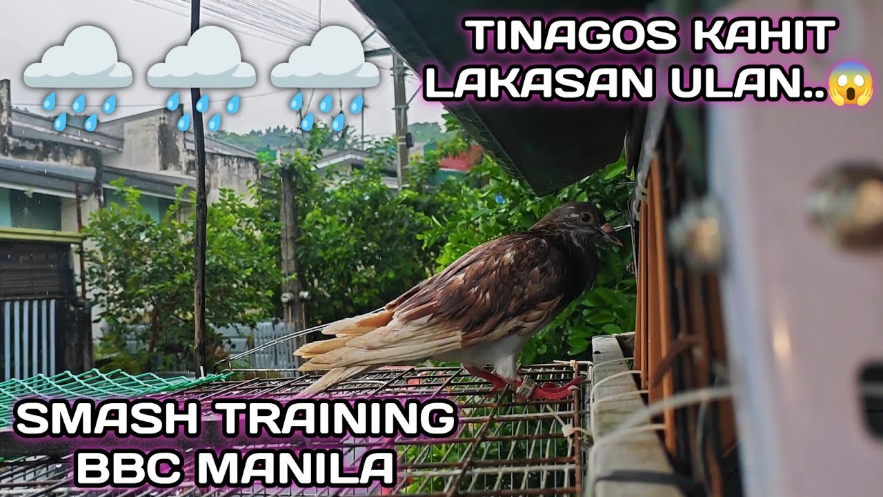 BBC MANILA SMASH TRAINING..🌧️ | TINAGOS KAHIT MALAKAS ULAN..😱