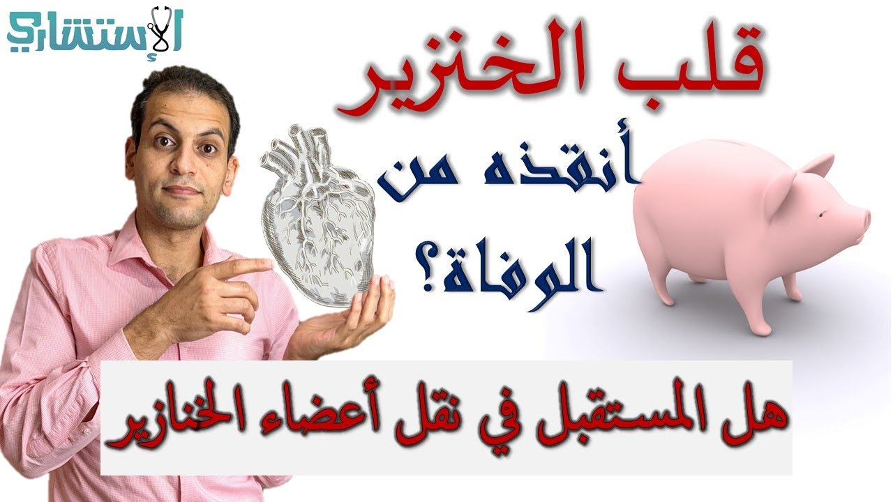 قلب وكلى الخنازير لمرضى فشل القلب والكلى ـ أحدث طرق عمليات زرع الأعضاء | الاستشاري