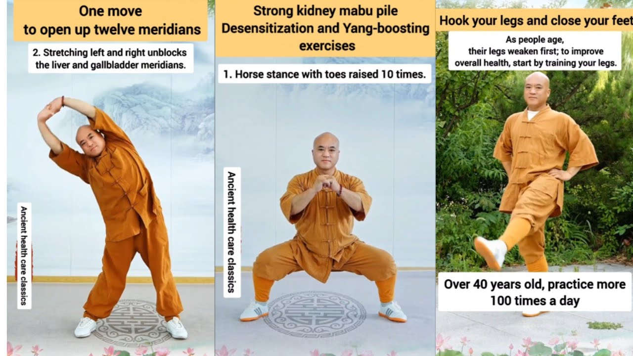 3 min Daily Tai Chi for Seniors | Qi Gong Exercises#workout #kungfu #taichi #martialarts #shaolin 