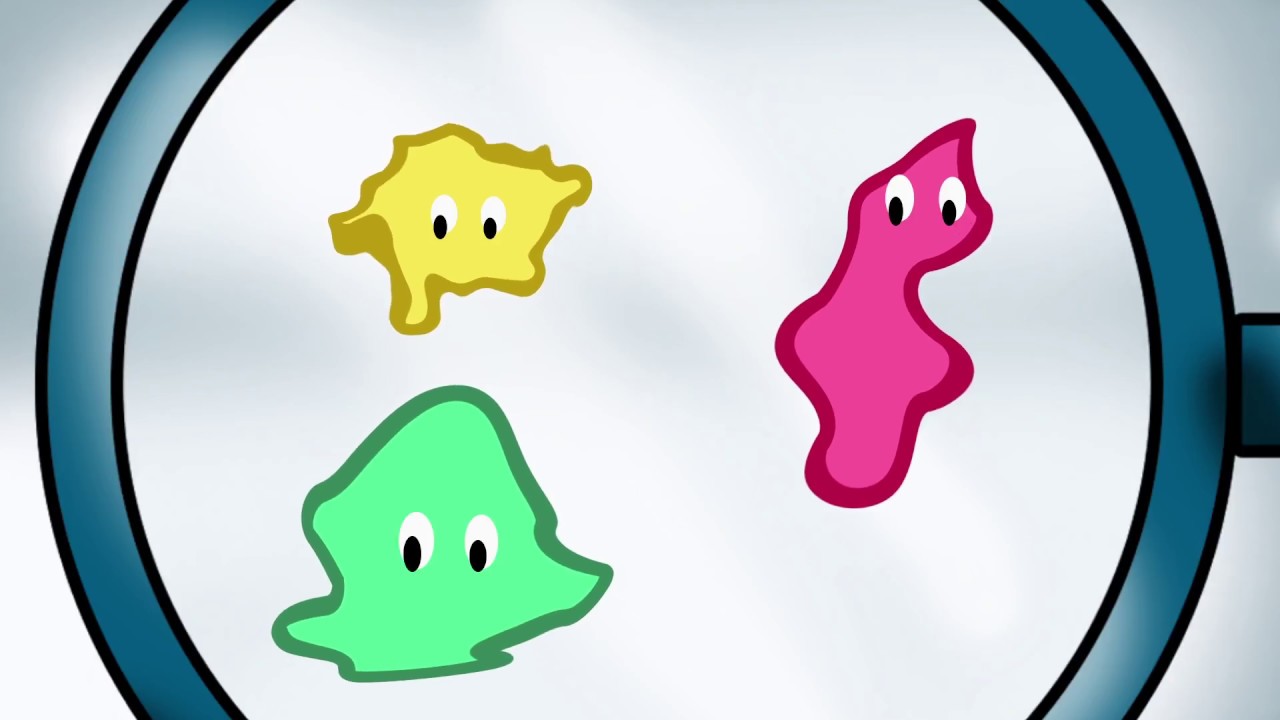 Pl&aacute;stico Pet (1)