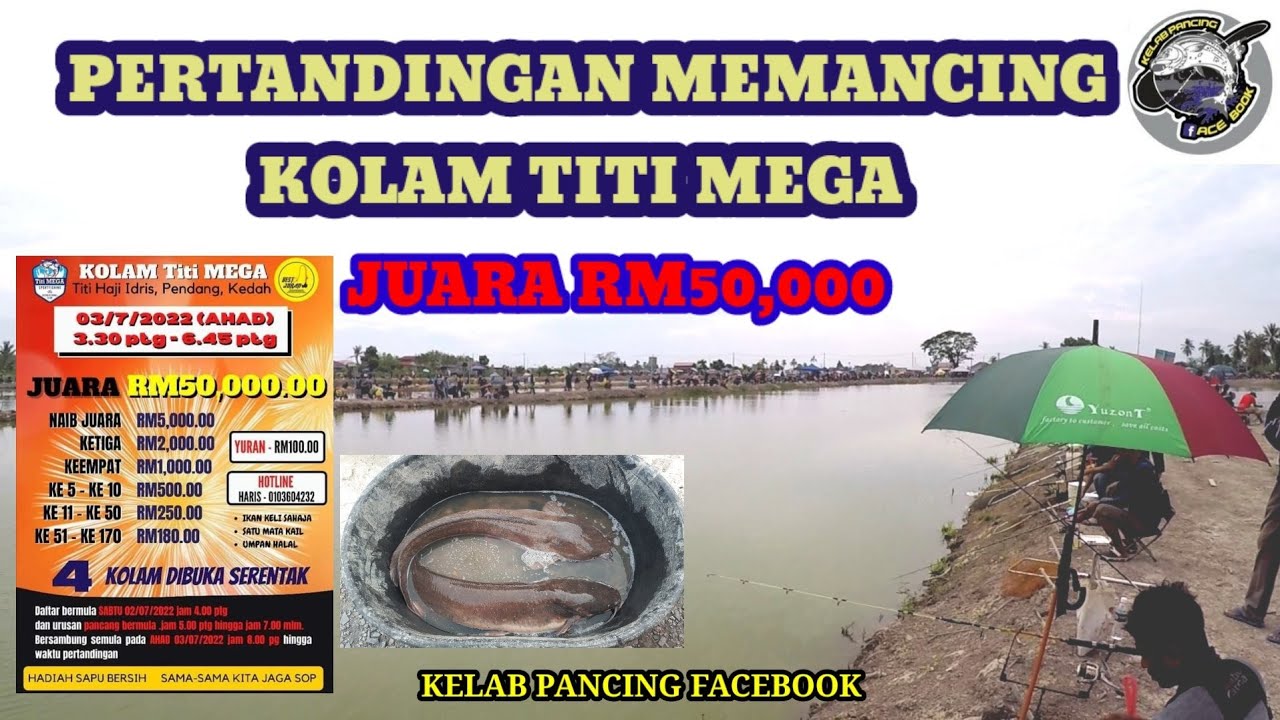 IKAN KELI 12.25KG JUARA RM50,000 PERTANDINGAN MEMANCING DI KOLAM TITI MEGA PENDANG KEDAH - 3/7/2022