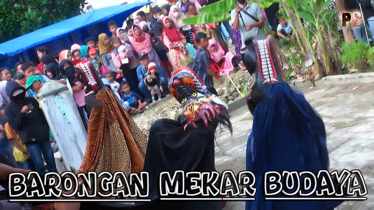 MANTUL!! AKSI BOLOT DAN 2 BARONGAN GALAK MELAWAN CELENG JADI JADIAN EBEG MEKAR BUDAYA LIVE PATIMUAN