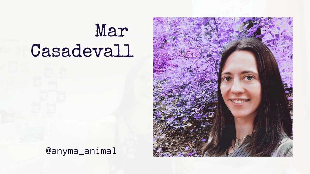 Video 0 - T&eacute;cnica Estructural &iquest;C&oacute;mo ha cambiado mi vida?