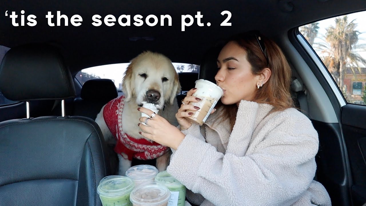 my favorite starbucks holiday drinks (part 2)